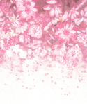 花底