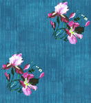 玫瑰花