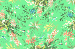 玫瑰花