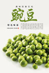 豌豆海报 青豆海报