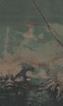 风景
