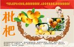 枇杷