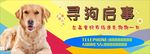寻狗