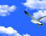 天空