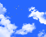 天空