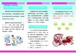 糖尿病反面