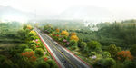 道路绿化景观效果图