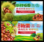 新鲜板栗