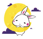 月亮兔兔