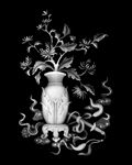 菊花灰度图