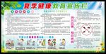 夏季健康教育宣传栏