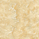 中黄纹理 300分辨率 分层