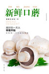 口蘑海报