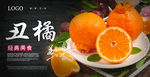 丑橘海报