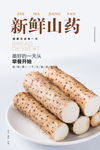 山药海报