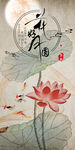 花好月圆荷花九鱼图装饰画玄关
