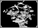 菊花灰度图