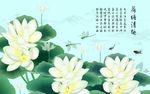 连年有余映日荷花电视背景墙