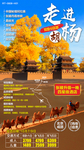 走进胡杨