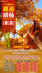 邂逅胡杨