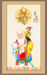 老寿星