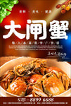 大闸蟹海报