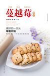 蔓越莓饼海报