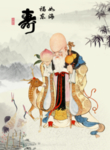 老寿星