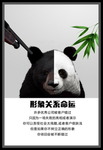 形象关系命运