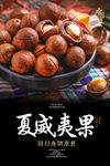 夏威夷果海报