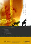 地产提案