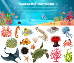 海洋生物