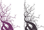 花纹矢量图