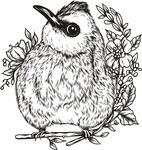 鸟