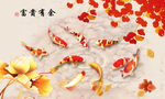 富贵有余