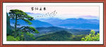 迎客松风景山水