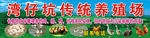 传统养殖场