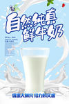 鲜牛奶