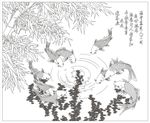 竹子鱼