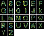 26个英文字母 s