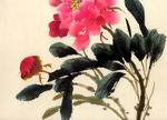 国画牡丹花