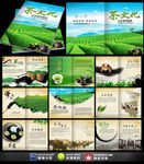 茶文化茶叶企业画册宣传册