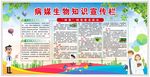 除四害宣传栏