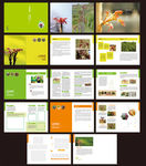绿色生态农业 香椿画册