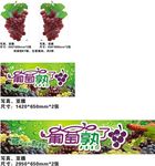 葡萄