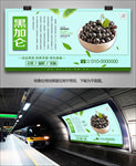 黑加仑灯箱展架单页挂画易拉宝