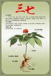 三七海报