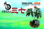 三七海报