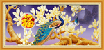 玉兰花