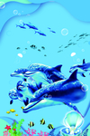 海底世界